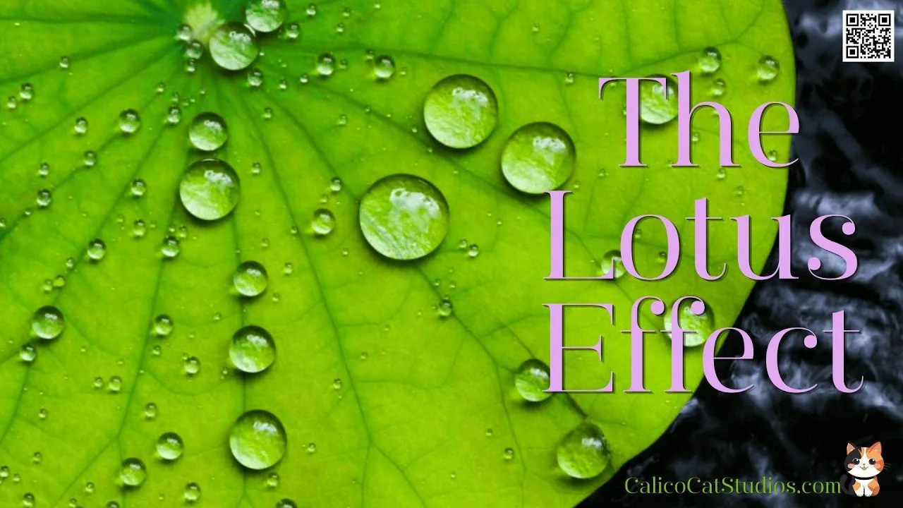 The Lotus Effect