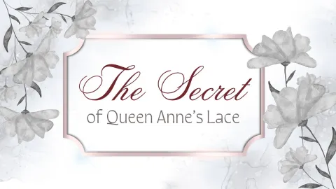 The Secret of Queen Anne’s Lace