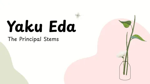Yaku-Eda